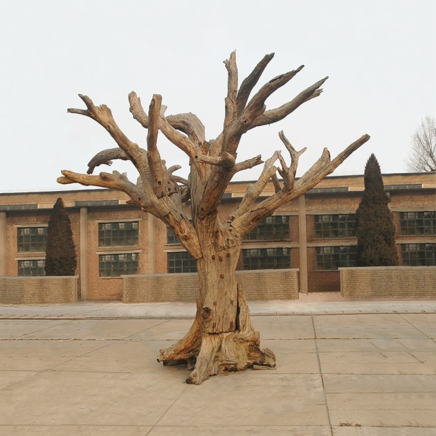 Ai Weiwei, Tree #11, 2009 - 2010. Courtesy of Stockamp Tsai Collection.