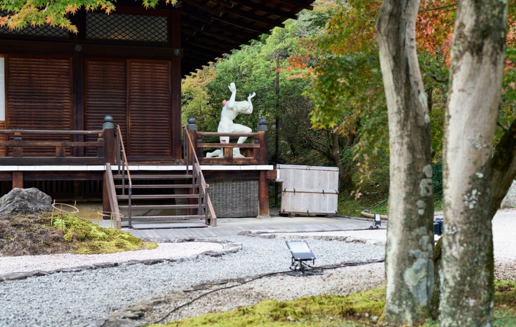 Installation view of Middle Lands. Courtesy of the artists