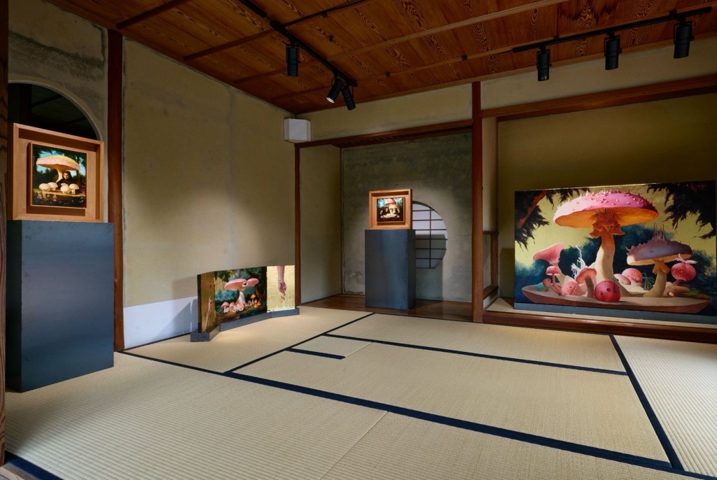 Installation view of Middle Lands. Courtesy of the artists