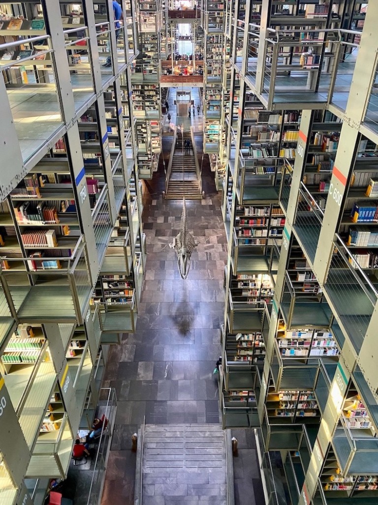 James visited Biblioteca Vasconcelos (ft. a Gabriel Orozco’s Mobile Matrix) during one of his travels.