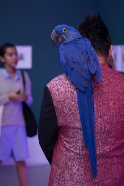 Parrot. Andy Warhol: Social Circus exhibition (2016). Gillman Barracks, Singapore. Courtesy of The Ryan Foundation.