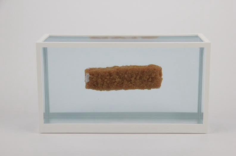 The Cognitive Impossibility of Poverty In The Mind Of Someone Rich, Fish finger cast in resin in 3D printed frame, 19 x 7 x 5 cm. Edition of 10 + 2 artist’s proof. Courtesy of Manuel Salvisberg.