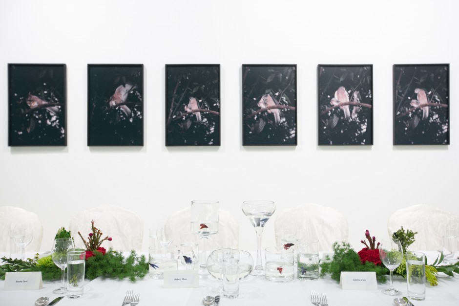 Dinner reception hosted by The Ryan Foundation and works by Robert Zhao Renhui at Christmas Island, Naturally exhibition (2017), ShanghART gallery, Singapore. Courtesy of The Ryan Foundation.
