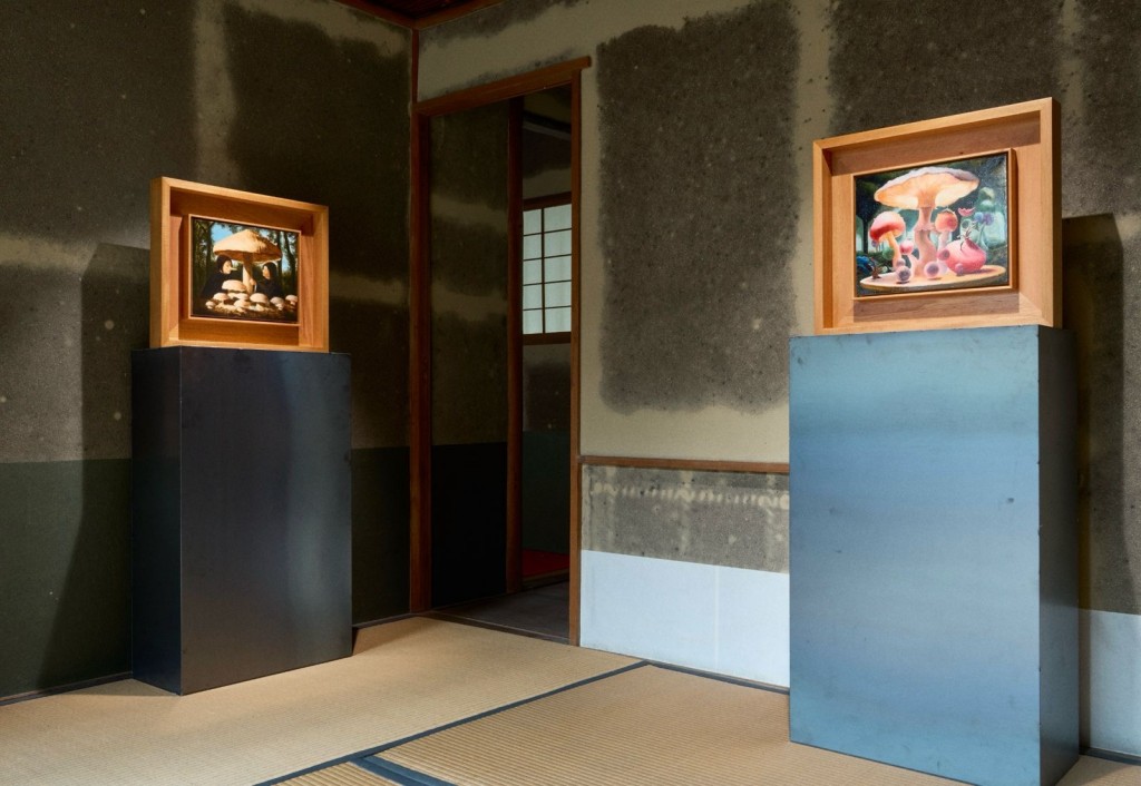 Installation view of Middle Lands. Courtesy of the artists