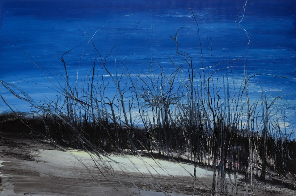 Landscape, 2005 oil on canvas,  145 x 223 cm.